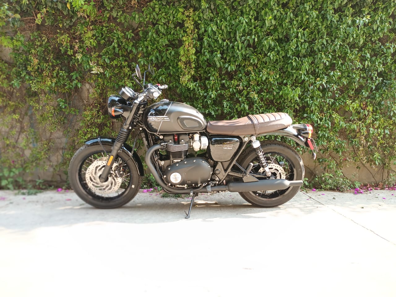 TRIUMPH Bonneville T120