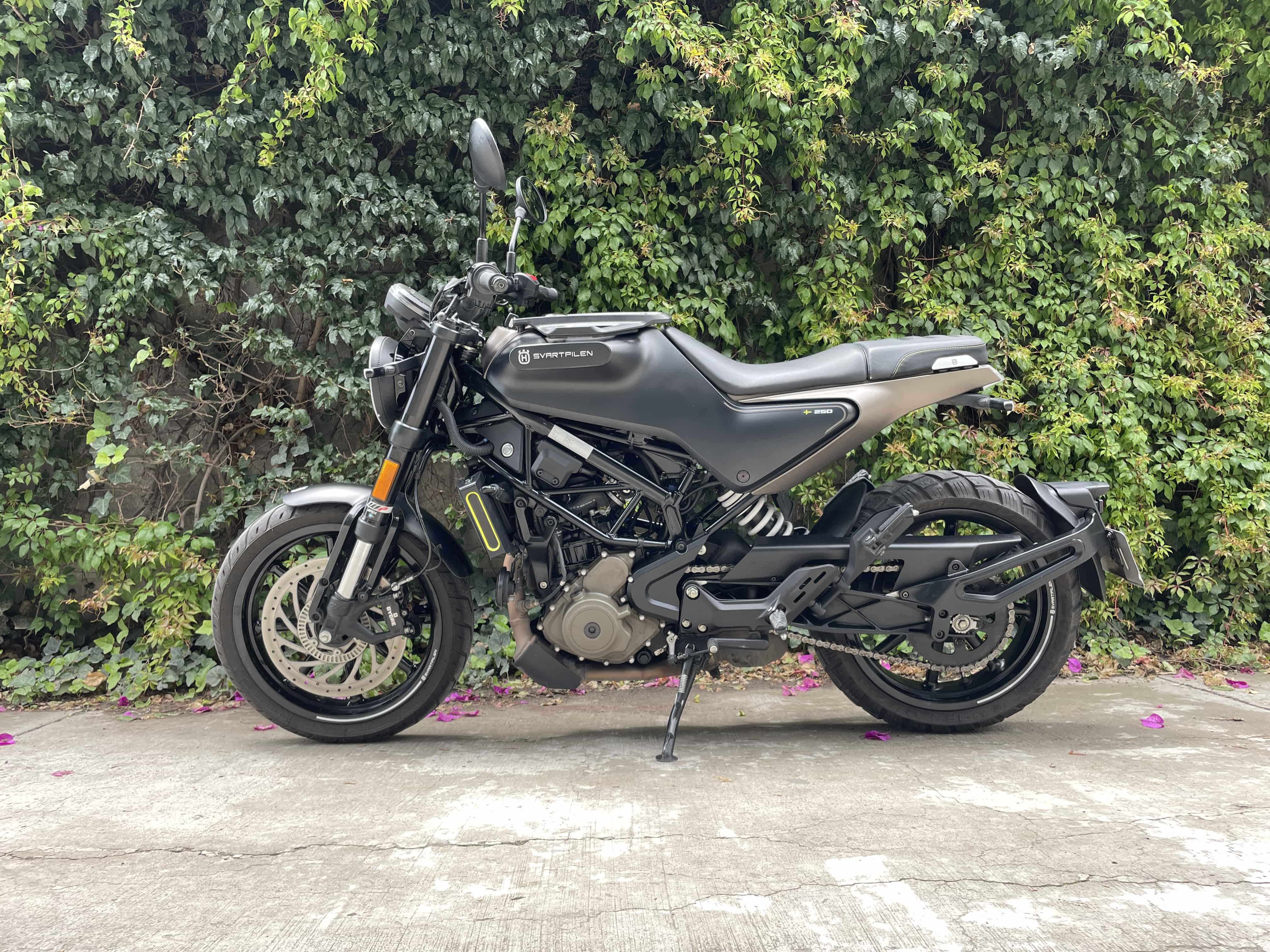 HUSQVARNA Svartpilen 250